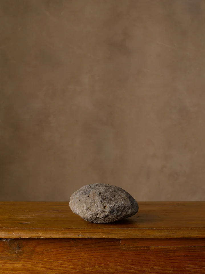 Repertorio di forme straordinarie della Natura — 01 - Repertorio_00023